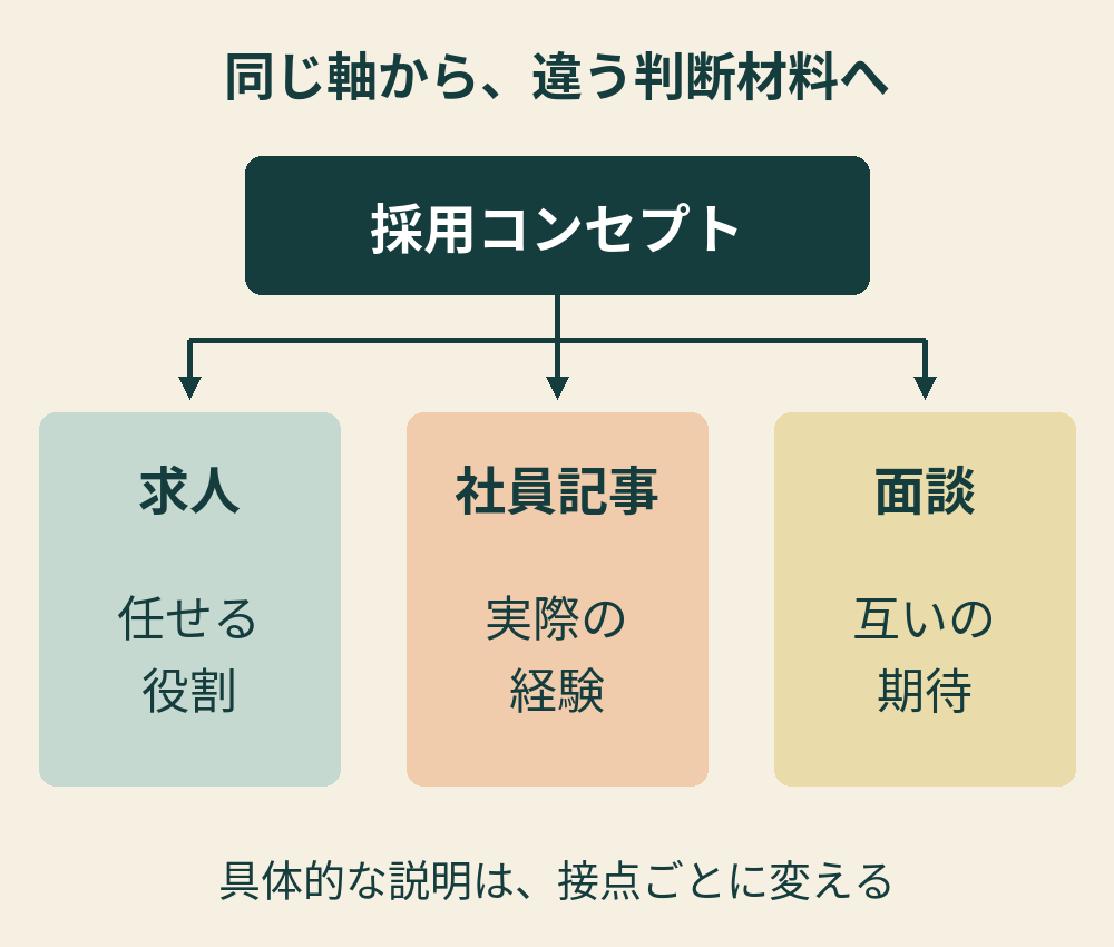 採用コンセプトを共通の軸として、求人では役割、社員記事では経験、面談では期待を確かめる関係図